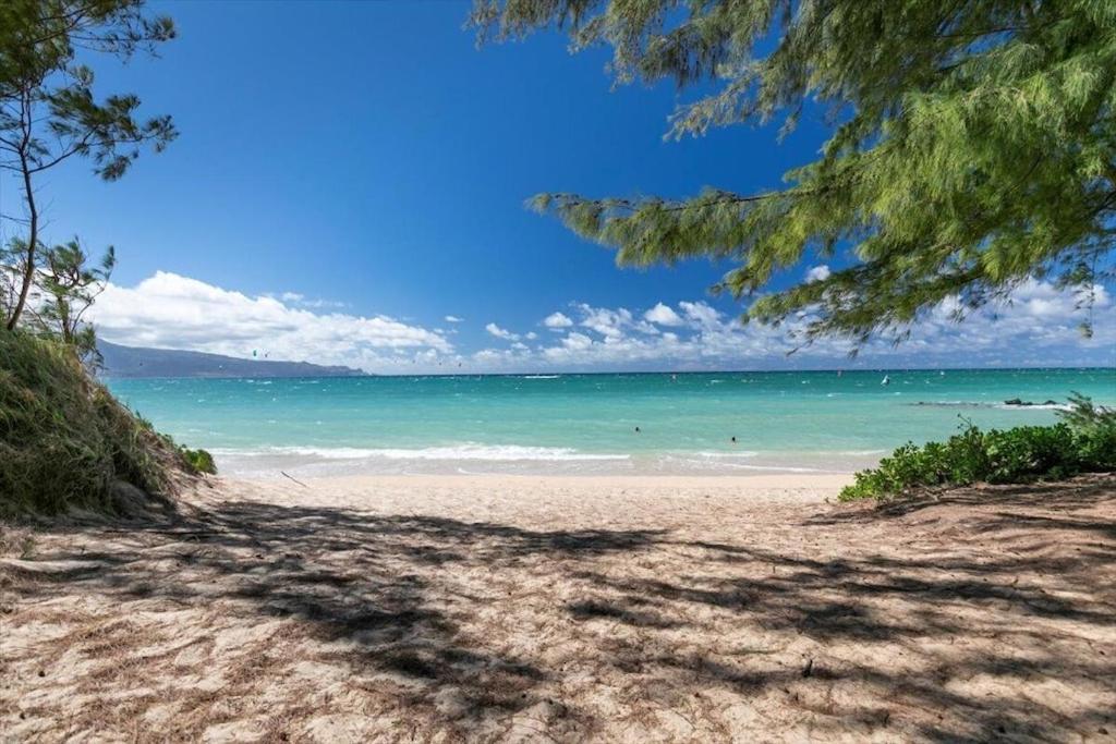 Unit 7 Maui Ohana Modern Studio Wailuku Dış mekan fotoğraf